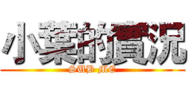 小葉的實況 (SUB ME)
