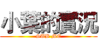 小葉的實況 (SUB ME)