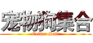 宠物狗集合 (Cellar Salt)