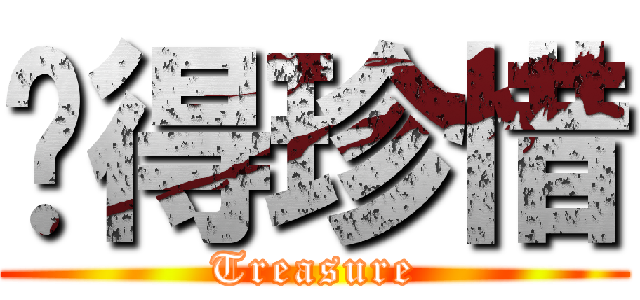 懂得珍惜 (Treasure)