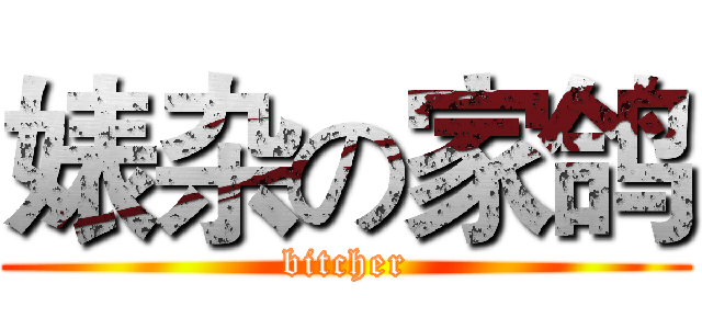 婊杂の家鸽 (bitcher)