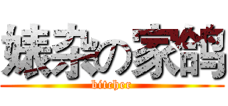 婊杂の家鸽 (bitcher)