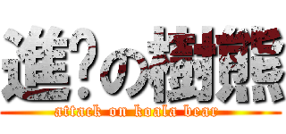 進擊の樹熊 (attack on koala bear )