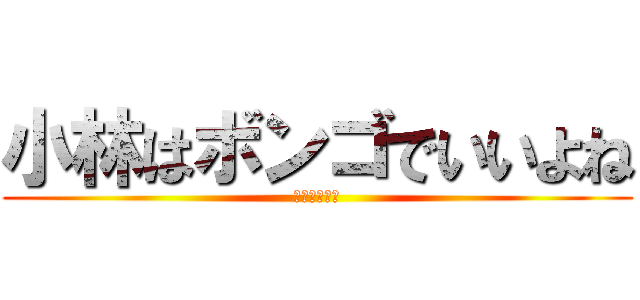 小林はボンゴでいいよね (叩けボンゴ♪)