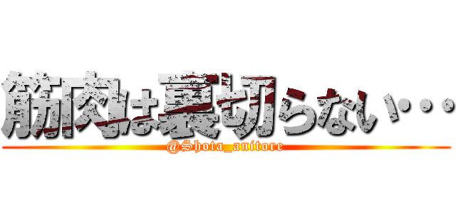 筋肉は裏切らない… (@Shota_anitore)