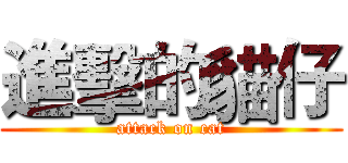 進擊的貓仔 (attack on cat)