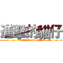 進擊的貓仔 (attack on cat)