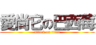 愛尚它の巴西莓 (attack on titan)