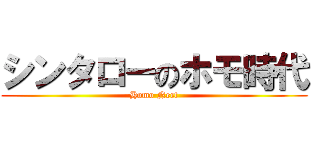 シンタローのホモ時代 (Homo Neet)