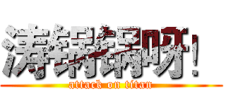 涛锅锅呀！ (attack on titan)
