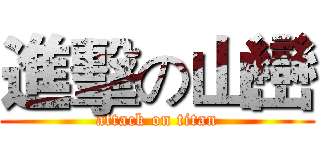 進擊の山巒 (attack on titan)
