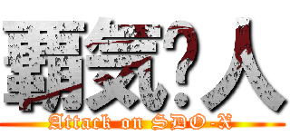 覇気红人 (Attack on SDO-X)