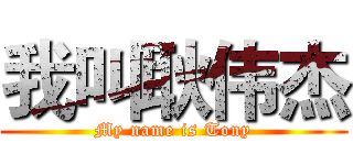 我叫耿伟杰 (My name is Tony)