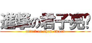 進撃の君子亮剑 (attack on show sword)