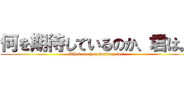 何を期待しているのか、君は。 (What are you waiting for)