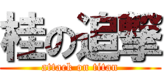 桂の追撃 (attack on titan)