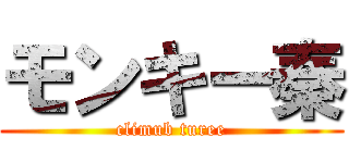 モンキー秦 (climub turee)