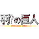 羽䕒の巨人 (attack on titan)