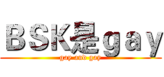 ＢＳＫ是ｇａｙ (gay and gay)