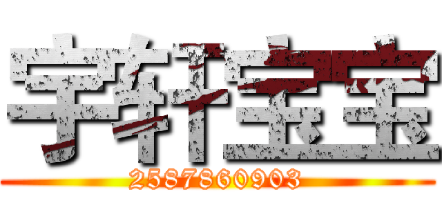 宇轩宝宝 (2587860903)