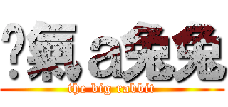 煞氣ａ兔兔 (the big rabbit)