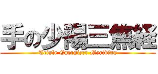 手の少陽三焦経 (Triple Energizer Meridian)