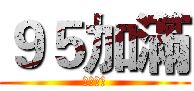 ９５加滿 (公升整數)