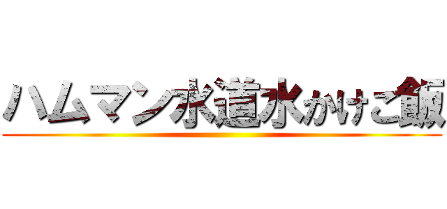 ハムマン水道水かけご飯 ()