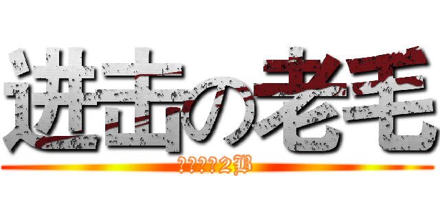 进击の老毛 (老毛是傻2B)