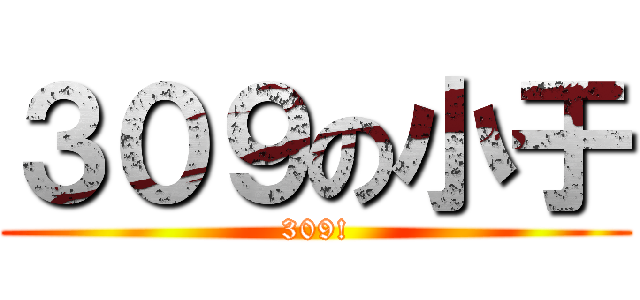 ３０９の小于 (309!)