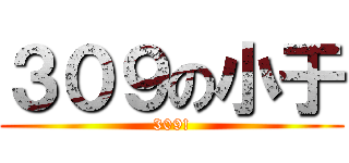 ３０９の小于 (309!)