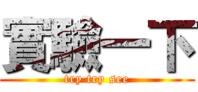 實驗一下 (try try see)