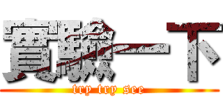 實驗一下 (try try see)