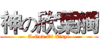 神の欣葉觸 (A God Of Xinye)