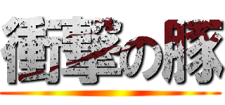 衝撃の豚 ()