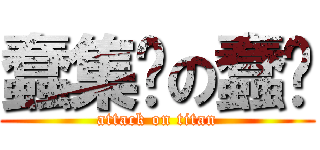 蠢集团の蠢队 (attack on titan)