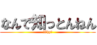 なんで知っとんねん (Why?)