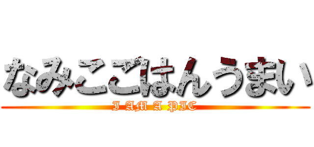 なみこごはんうまい (I AM A PIC)