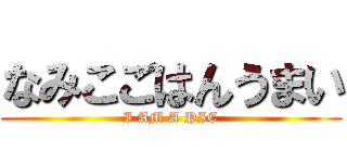 なみこごはんうまい (I AM A PIC)