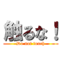 触るな！ (Do not touch)