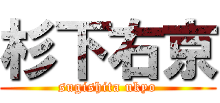 杉下右京 (sugishita ukyo)