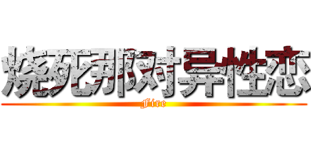 烧死那对异性恋 (Fire)