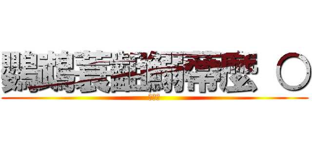 鸚鵡蓑齟鰯蔕麼 ○ (◎∀◎)