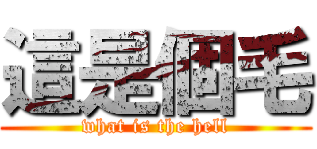 這是個毛 (what is the hell)