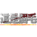 這是個毛 (what is the hell)