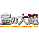 室の大砲 ()