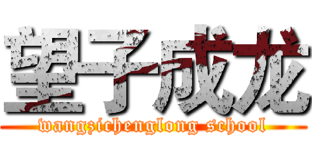 望子成龙 (wangzichenglong school)