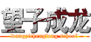 望子成龙 (wangzichenglong school)