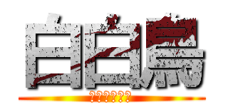 白白鳥 (白き鳥の武士)