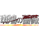 斑鳩の薔薇 (コキむしね)